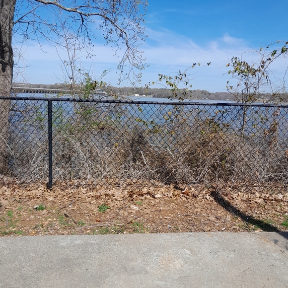 Meet your Posher, Lilly - Picture 2 of 6